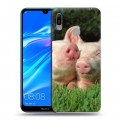 Дизайнерский пластиковый чехол для Huawei Y6 (2019) Свинки