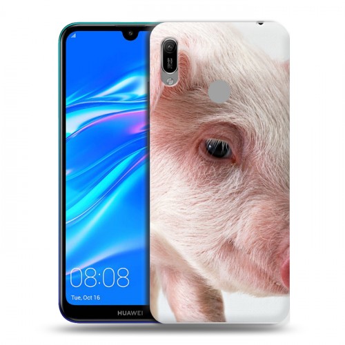 Дизайнерский пластиковый чехол для Huawei Y6 (2019) Свинки