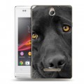 Дизайнерский силиконовый чехол для Sony Xperia E Собаки