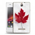 Дизайнерский пластиковый чехол для Sony Xperia E Флаг Канады