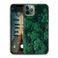 Дизайнерский пластиковый чехол для Iphone 11 Pro Max Нуарные листья