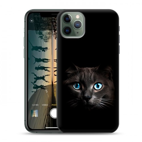 Дизайнерский пластиковый чехол для Iphone 11 Pro Max Кот в темноте
