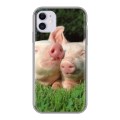 Дизайнерский силиконовый чехол для Iphone 11 Свинки