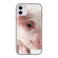 Дизайнерский пластиковый чехол для Iphone 11 Свинки