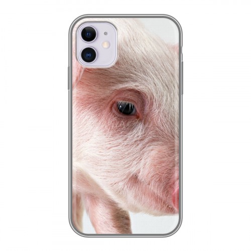 Дизайнерский пластиковый чехол для Iphone 11 Свинки