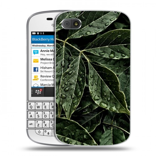 Дизайнерский пластиковый чехол для BlackBerry Q10 Нуарные листья