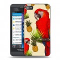 Дизайнерский пластиковый чехол для BlackBerry Z10 Птицы и фрукты