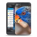 Дизайнерский пластиковый чехол для BlackBerry Z10 Попугаи