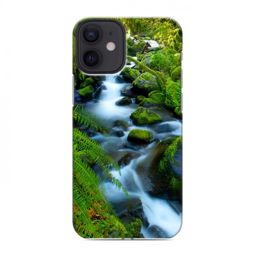 Дизайнерский силиконовый с усиленными углами чехол для Iphone 12 Mini Водопады