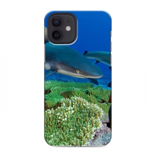 Дизайнерский силиконовый чехол для Iphone 12 Акулы
