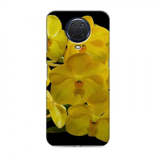 Дизайнерский силиконовый с усиленными углами чехол для Nokia G20 Орхидеи