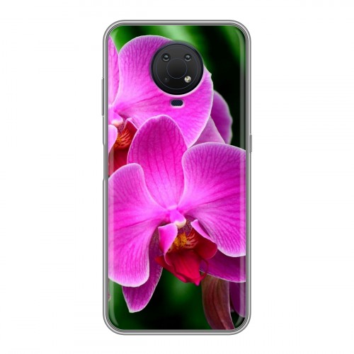 Дизайнерский силиконовый чехол для Nokia G10 Орхидеи