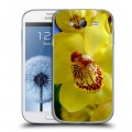 Дизайнерский пластиковый чехол для Samsung Galaxy Grand Орхидеи