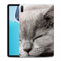 Дизайнерский силиконовый чехол для Huawei MatePad 11 (2021) Коты