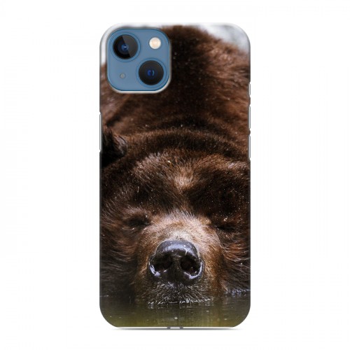 Дизайнерский силиконовый чехол для Iphone 13 Медведи