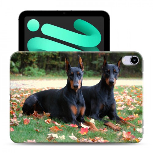 Дизайнерский пластиковый чехол для Ipad Mini (2021) Собаки