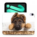 Дизайнерский силиконовый с усиленными углами чехол для Ipad Mini (2021) Собаки
