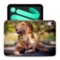 Дизайнерский пластиковый чехол для Ipad Mini (2021) Собаки