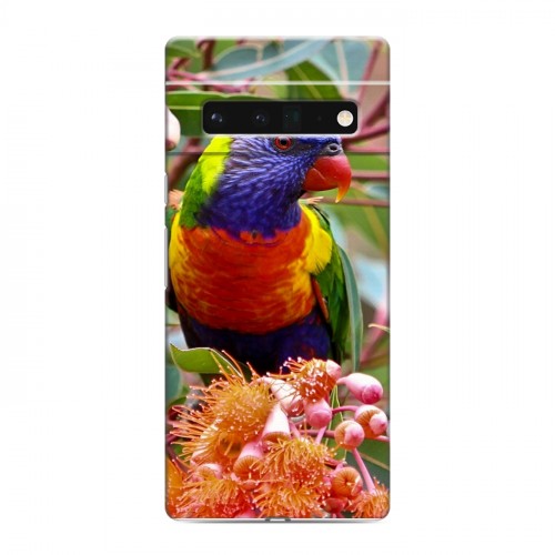 Дизайнерский силиконовый чехол для Google Pixel 6 Pro Попугаи