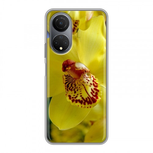 Дизайнерский силиконовый чехол для Huawei Honor X7 Орхидеи