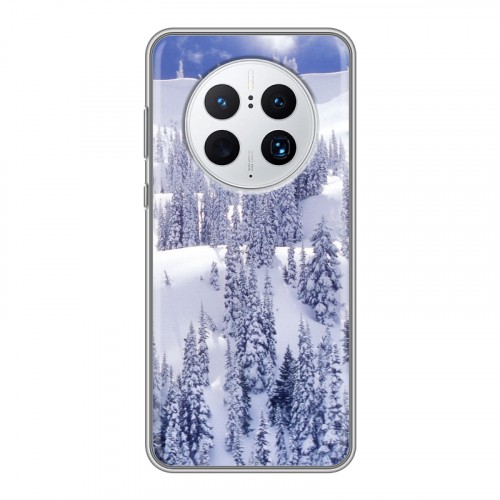 Дизайнерский силиконовый чехол для Huawei Mate 50 Pro Зима