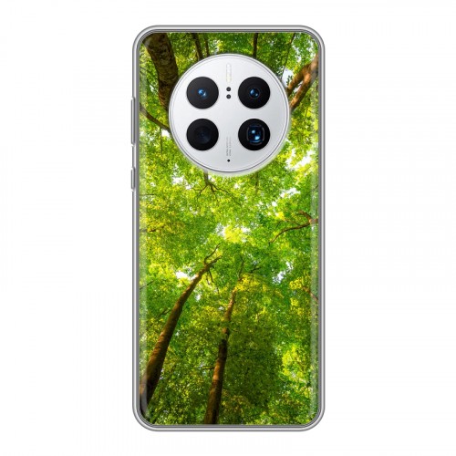 Дизайнерский пластиковый чехол для Huawei Mate 50 Pro лес