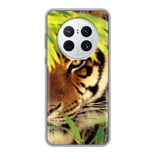 Дизайнерский силиконовый чехол для Huawei Mate 50 Pro Тигры