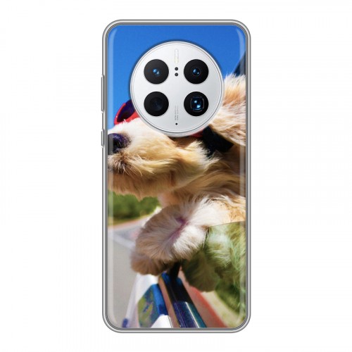Дизайнерский силиконовый с усиленными углами чехол для Huawei Mate 50 Pro Собаки