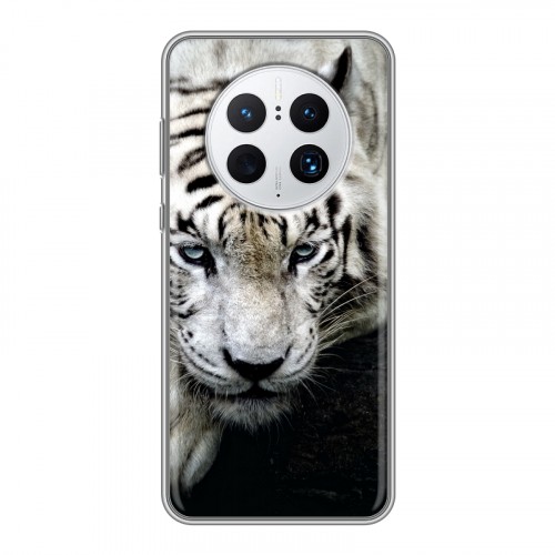 Дизайнерский силиконовый чехол для Huawei Mate 50 Pro Тигры