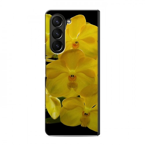Дизайнерский пластиковый чехол для Samsung Galaxy Z Fold 5 Орхидеи