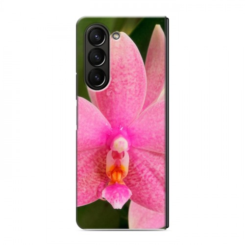Дизайнерский пластиковый чехол для Samsung Galaxy Z Fold 5 Орхидеи