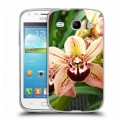 Дизайнерский пластиковый чехол для Samsung Galaxy Core Орхидеи