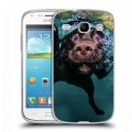 Дизайнерский пластиковый чехол для Samsung Galaxy Core Собаки