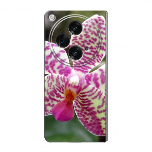 Дизайнерский пластиковый чехол для OPPO Find N3 Орхидеи