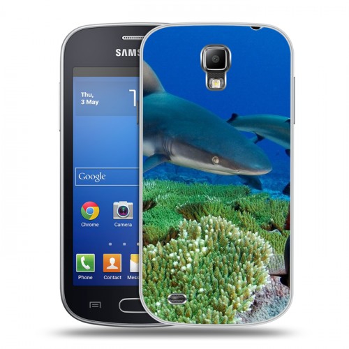 Дизайнерский пластиковый чехол для Samsung Galaxy S4 Active Акулы