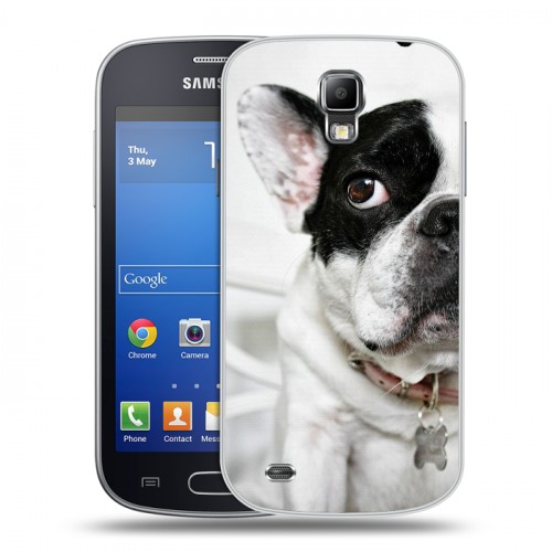 Дизайнерский пластиковый чехол для Samsung Galaxy S4 Active Собаки