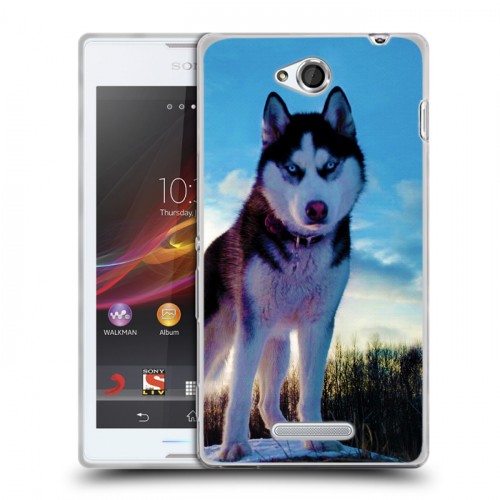 Дизайнерский пластиковый чехол для Sony Xperia C Собаки