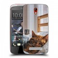 Дизайнерский пластиковый чехол для HTC Desire 500 Коты