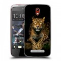 Дизайнерский пластиковый чехол для HTC Desire 500 Леопард