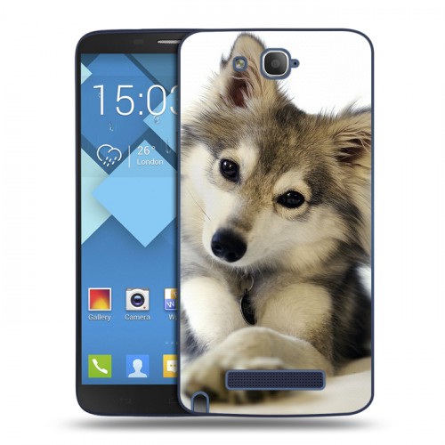 Дизайнерский пластиковый чехол для Alcatel One Touch Hero Собаки