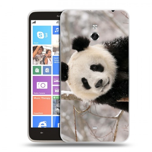 Дизайнерский пластиковый чехол для Nokia Lumia 1320 Панды