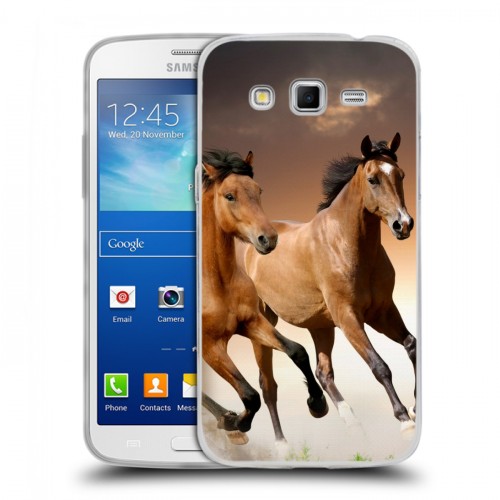 Дизайнерский пластиковый чехол для Samsung Galaxy Grand 2 Лошади