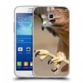 Дизайнерский пластиковый чехол для Samsung Galaxy Grand 2 Орлы