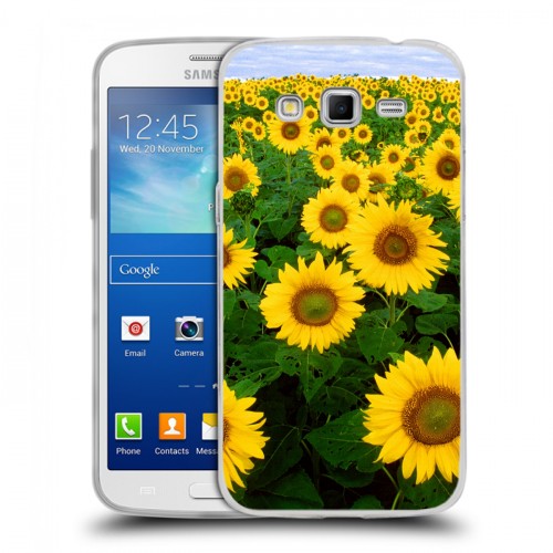 Дизайнерский пластиковый чехол для Samsung Galaxy Grand 2 Подсолнухи