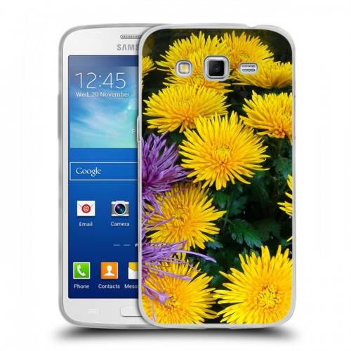 Дизайнерский пластиковый чехол для Samsung Galaxy Grand 2 Хризантемы