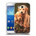Дизайнерский пластиковый чехол для Samsung Galaxy Grand 2 Щенки