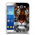 Дизайнерский пластиковый чехол для Samsung Galaxy Grand 2 Тигры