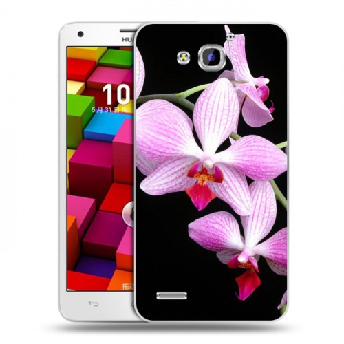 Дизайнерский пластиковый чехол для Huawei Honor 3x Орхидеи