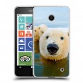 Дизайнерский пластиковый чехол для Nokia Lumia 630/635 Медведи