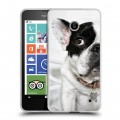 Дизайнерский пластиковый чехол для Nokia Lumia 630/635 Собаки